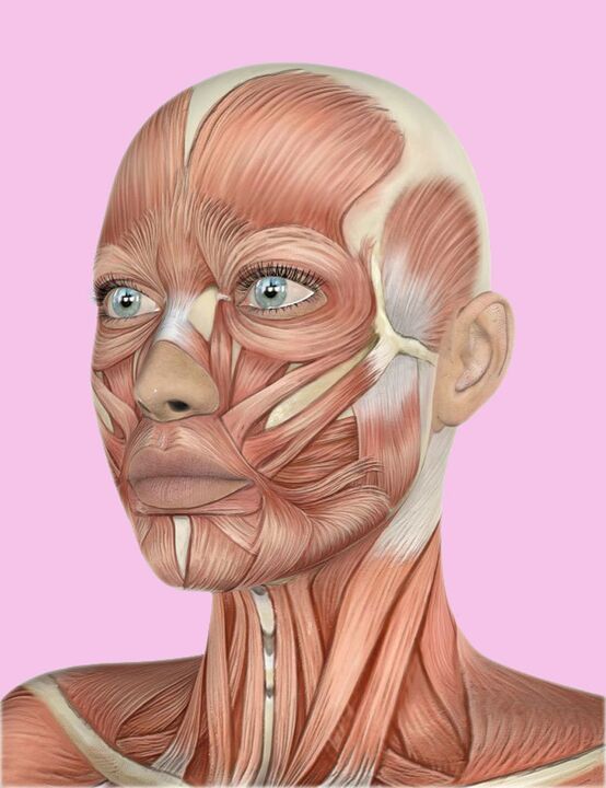 Face fabric