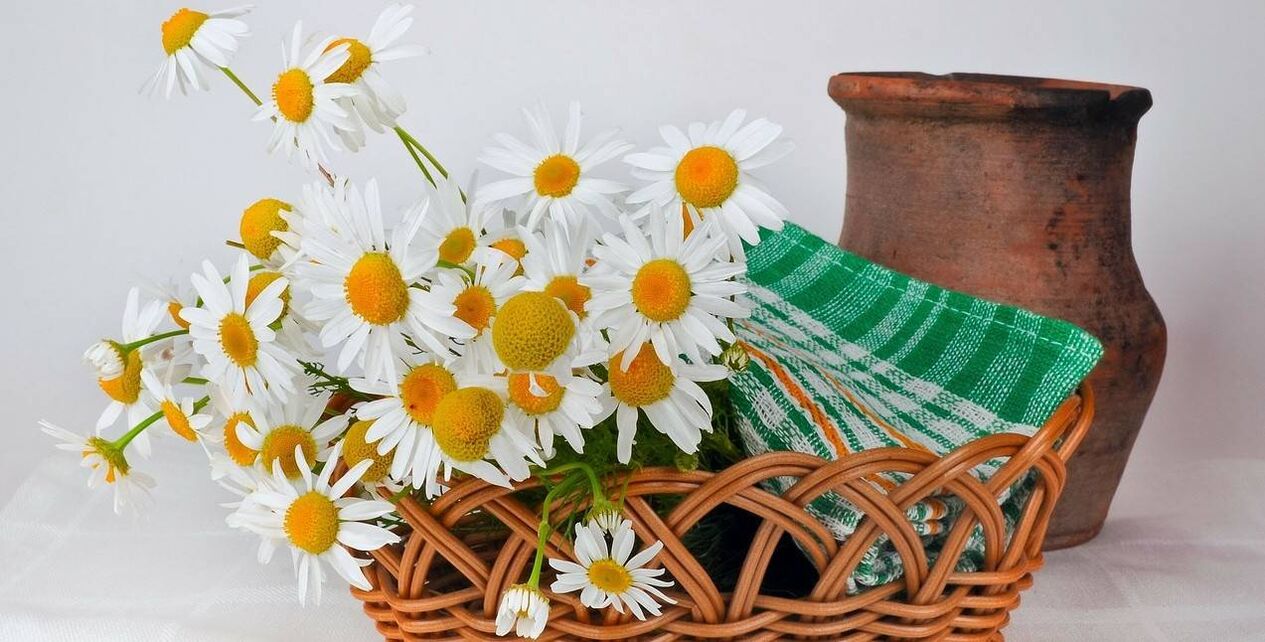 How to Make a Toner from Chamomile Flowers